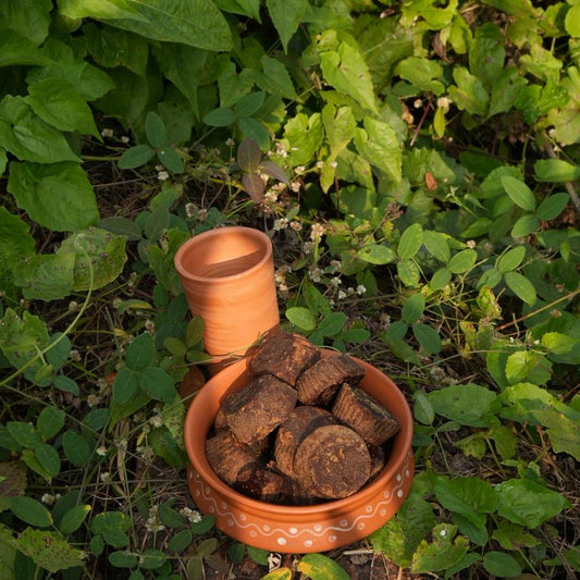 Premium Cupcake Shaped Jaggery